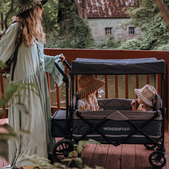 X2 Push & Pull stroller wagon